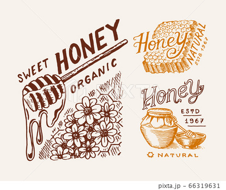 Honey and honeycombs, bee labels. Vintage logo for typography, shop or signboards. Badge for t 66319631