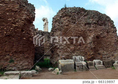 フォロ・ロマーノの古代ローマ遺跡 フォロ・ロマーノの古代ローマ遺跡 66319897