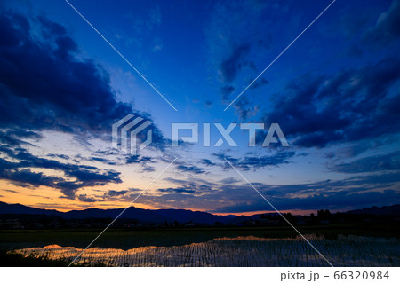 田んぼに反射する夕日 6月の田園風景 秋田県 田んぼに反射する夕日 6月の田園風景 秋田県 66320984