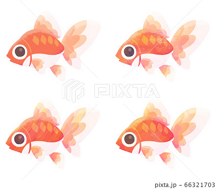 サカナの可愛いイラスト 金魚 ベタ塗り テクスチャ のイラスト素材 66321703 Pixta