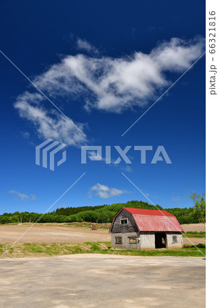 初夏の北海道厚沢部町で赤い屋根の作業小屋とジャガイモ畑の風景を撮影 66321816