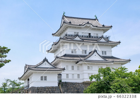 神奈川県 小田原城 天守の写真素材