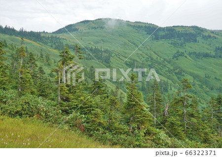 尾根からの会津駒ヶ岳山頂 66322371