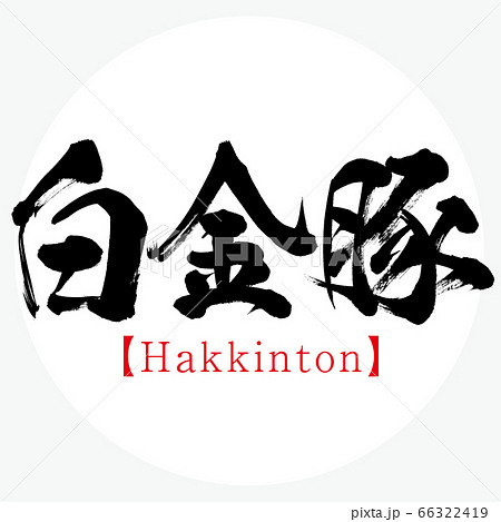 白金豚・Hakkinton(筆文字・手書き) 白金豚・Hakkinton(筆文字・手書き) 66322419