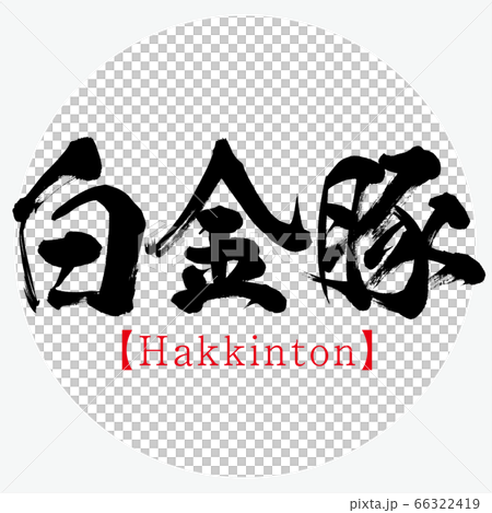 白金豚・Hakkinton(筆文字・手書き) 白金豚・Hakkinton(筆文字・手書き) 66322419