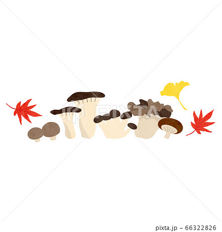 カット素材-きのこ2テク 66322826