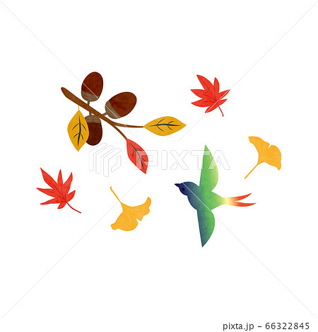 カット素材 鳥と秋の葉1テクのイラスト素材