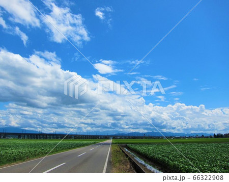 どこまでも続く道 どこまでも続く道 66322908