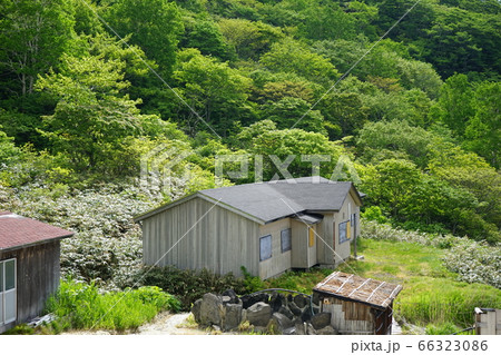 初夏の国見温泉露天風呂 66323086