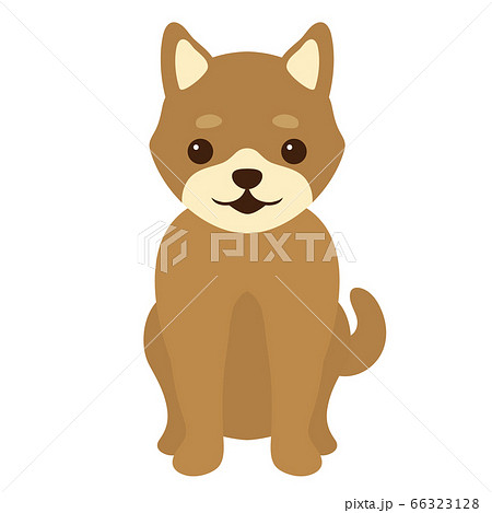 柴犬のイラスト 66323128