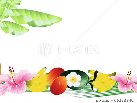 ハイビスカスや夏の果物にプルメリアのイラスト横長背景素材のイラスト素材