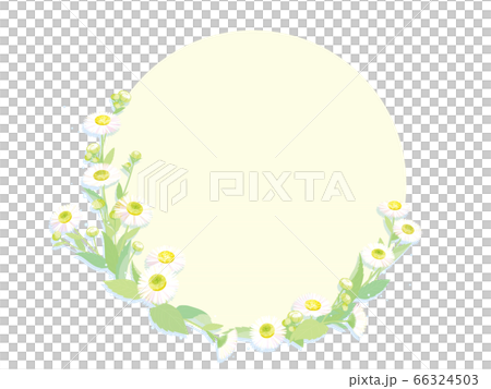 Flower frame 66324503