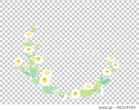 Flower frame 66324504