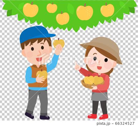 Illustration Of Men And Women Picking Pears Stock Illustration