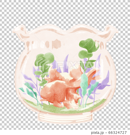 Goldfish Illustration In A Fishbowl Stock Illustration