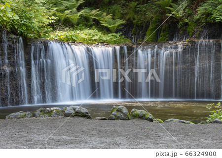 白糸の滝 ・アップ（軽井沢） 66324900