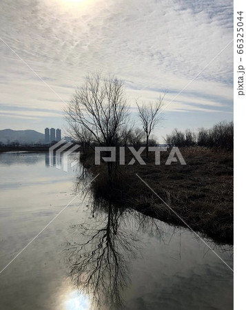 風景 自然 公園 66325044