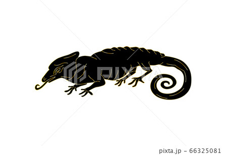 88星座線なし黒カメレオン座 88星座線なし黒カメレオン座 66325081