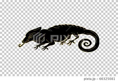 88星座線なし黒カメレオン座 88星座線なし黒カメレオン座 66325081