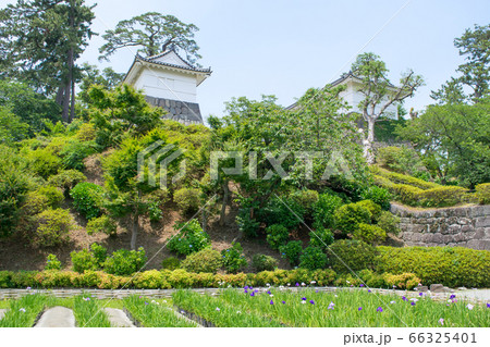 神奈川県 小田原城 常盤木門 神奈川県 小田原城 常盤木門 66325401