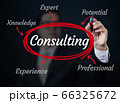 Business man writing consulting concept, new 66325672