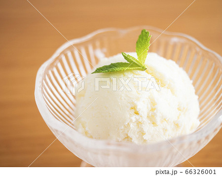 バニラアイスクリーム 66326001