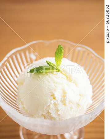 バニラアイスクリーム 66326002