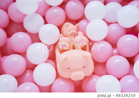 カラーボールと親子のブタのおもちゃ 66326250