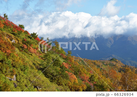 銀泉台の紅葉（北海道・上川町・大雪山系） 66326934