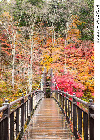 紅の吊橋と紅葉風景・塩原渓谷の秋（栃木県那須塩原市）2019年11月 66327134