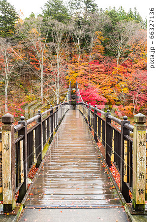 紅の吊橋と紅葉風景・秋の塩原渓谷(栃木県那須塩原市)2019年11月 紅の吊橋と紅葉風景・秋の塩原渓谷(栃木県那須塩原市)2019年11月 66327136