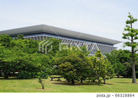 6月　江東223東京ｱｸｱﾃｨｸｽｾﾝﾀｰ･辰巳の森海浜公園 66328864