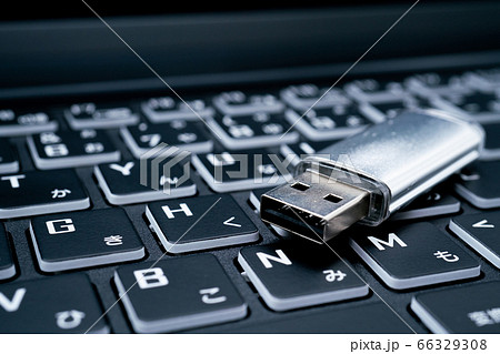 USBメモリ USBメモリ 66329308