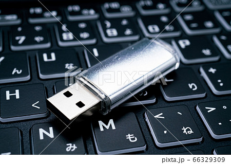 USBメモリ USBメモリ 66329309