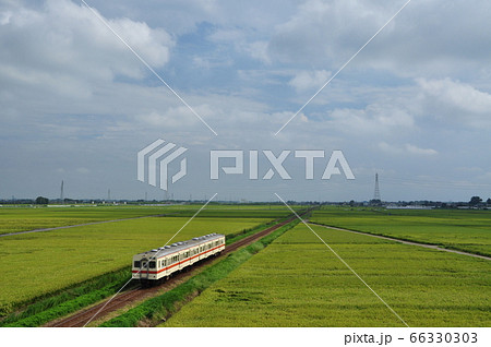 関東鉄道常総線、三妻・南石下駅間を走る普通列車（キハ350形気動車） 66330303