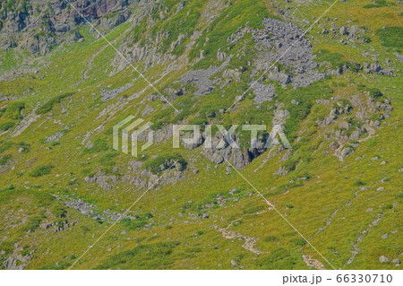 笠ヶ岳杓子平の登山道 66330710