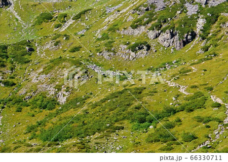 笠ヶ岳杓子平の登山道 66330711