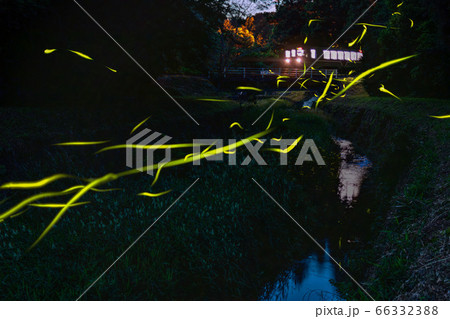 ホタル鉄道 66332388