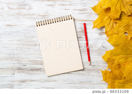 Spiral sketchbook and pen on wooden desk Spiral sketchbook and pen on wooden desk 66333109
