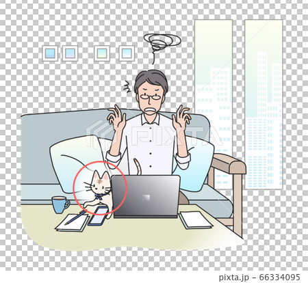 パソコンの上を飼いネコに歩かれて困る男性【テレワーク】 パソコンの上を飼いネコに歩かれて困る男性【テレワーク】 66334095