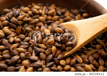 麦茶の麦 66336411
