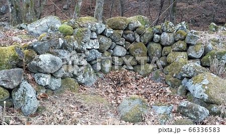 城跡 自然 景色 66336583