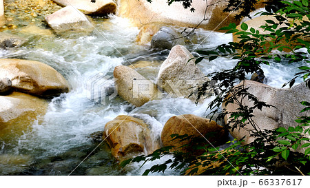 阿寺渓谷の渓流 66337617