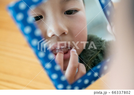 6 years old 6 years old 66337802