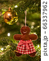 A fabric gingerbread man woman bear shaped Christmas Tree Decoration hanging from a tree 66337962