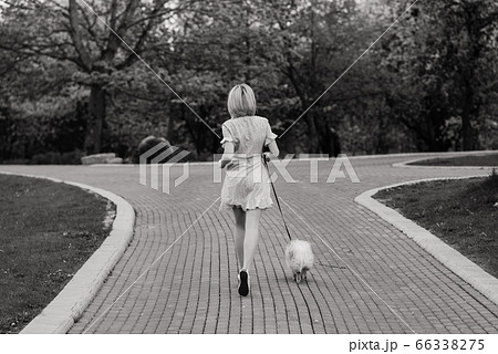 Young woman and red spitz with a medical mask on Young woman and red spitz with a medical mask on 66338275