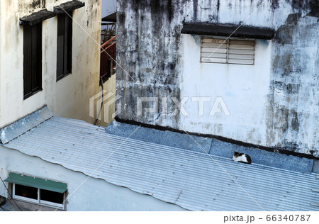 Lonely cat lay down curled up on roof of house at early morning 66340787