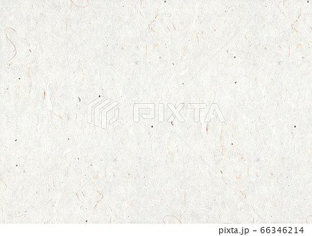 自然の繊維を漉き込んだ大礼紙の創作和紙。白・ナチュラル系。 66346214