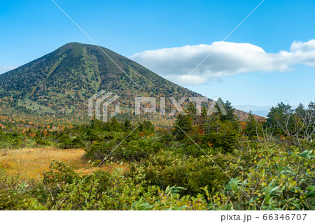 晚秋の八甲田山 森林風景 晚秋の八甲田山 森林風景 66346707