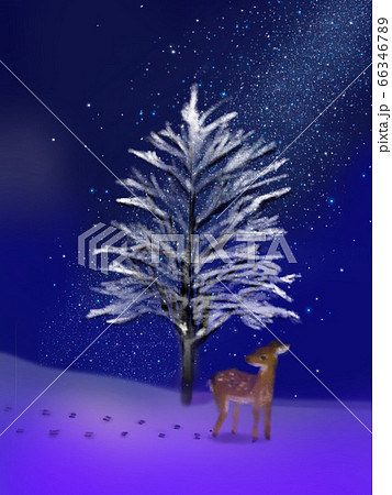 雪が降り積もった木と大地と小鹿 雪が降り積もった木と大地と小鹿 66346789